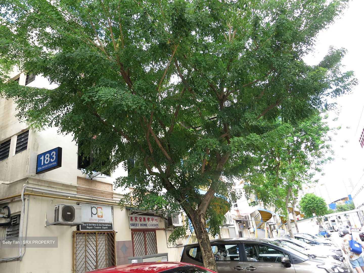 Toa Payoh Central (D12), Shop House #529677681